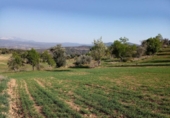 Detached villa with land for sale on España, Benabarre, ref: TR322446 photo