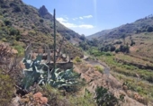 Non-developable land for sale on España, Santa Brígida, ref: TR316244 photo