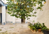 Casa de poble en venda a la España, Chiclana de la Frontera, ref.: TR294850 foto