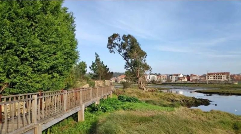 Pontevedra - Cambados - 1445m2