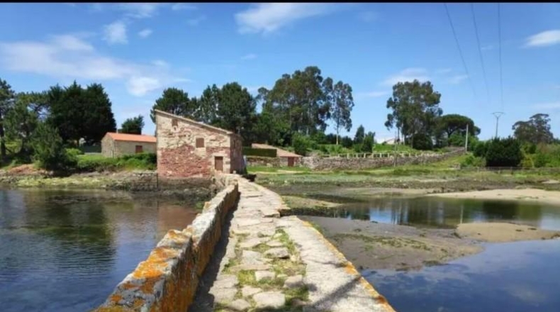 Pontevedra - Cambados - 1445m2