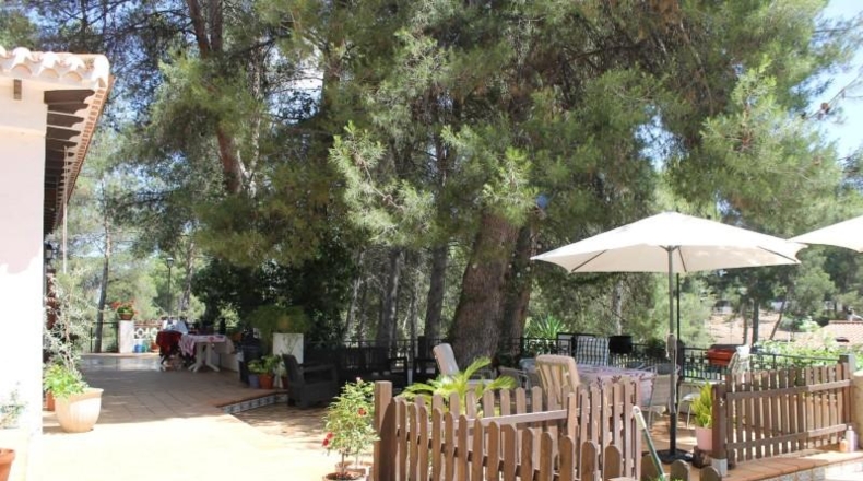 Albacete - Almansa - 2035m2