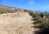 Terreny amb magatzem en venda a la España, Puertito de Güímar, ref.: TR317555 foto