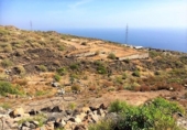 Terreny amb magatzem en venda a la España, Puertito de Güímar, ref.: TR317555 foto