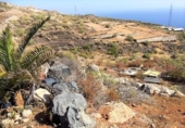 Terreny amb magatzem en venda a la España, Puertito de Güímar, ref.: TR317555 foto