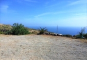 Terreny amb magatzem en venda a la España, Puertito de Güímar, ref.: TR317555 foto