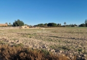 Non-developable land for sale on España, Las Bayas, ref: TR364785 photo
