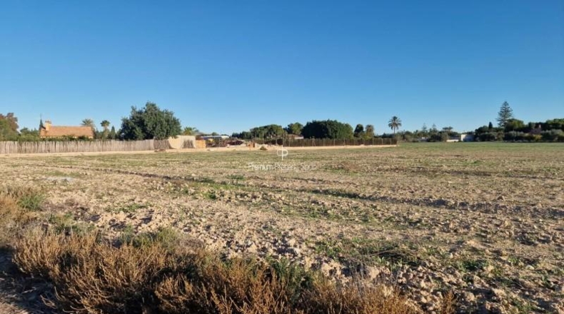 Alicante - Las Bayas - 23452m2