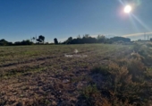 Non-developable land for sale on España, Las Bayas, ref: TR364785 photo