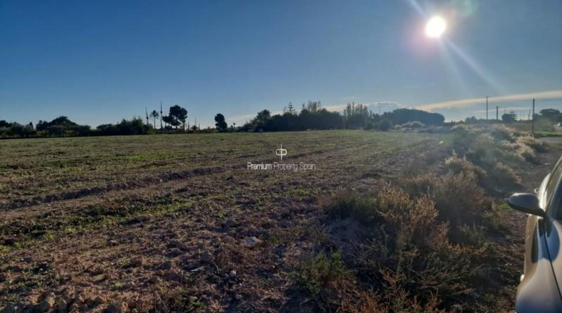 Alicante - Las Bayas - 23452m2