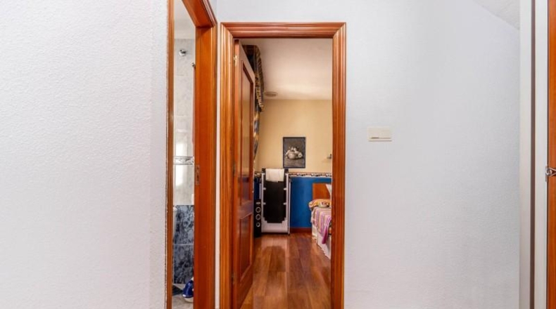 Granada - Los Llanos - 315m2