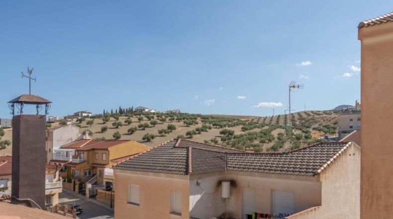 Granada - Los Llanos - 315m2
