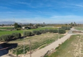 Xalet independent amb terreny en venda a la España, Elx, ref.: TR141270 foto