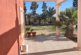 Foto 12