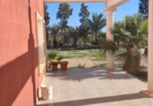 Xalet independent amb terreny en venda a la España, Elx, ref.: TR141270 foto