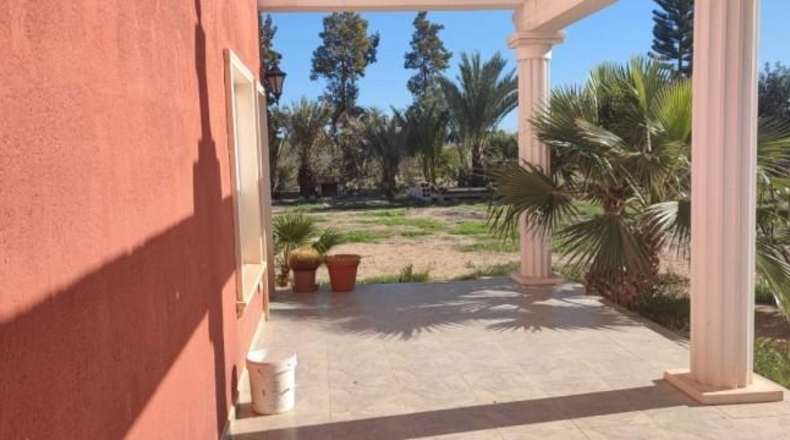 Alicante - Elche - 4500m2