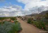 Casa de campo con terreno en venta en la España, Santomera, ref: TR155054 foto