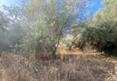 Parcela urbanizable en venta en la España, Mairena del Aljarafe, ref: TR350333 foto