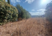 Parcela urbanizable en venta en la España, Mairena del Aljarafe, ref: TR350333 foto