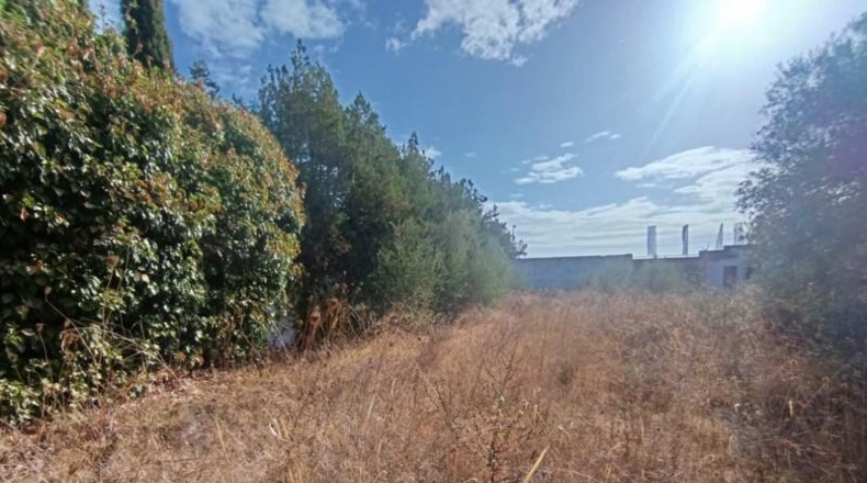 Севилья - Mairena del Aljarafe - 1650m2
