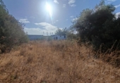 Parcela urbanizable en venta en la España, Mairena del Aljarafe, ref: TR350333 foto