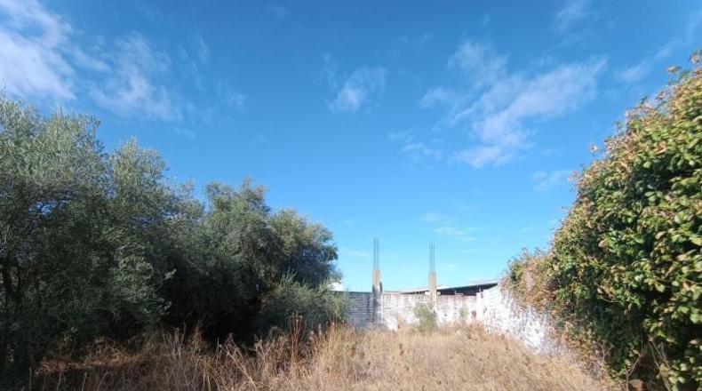 Севилья - Mairena del Aljarafe - 1650m2