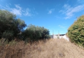 Parcela urbanizable en venta en la España, Mairena del Aljarafe, ref: TR350333 foto