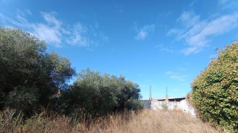 Севилья - Mairena del Aljarafe - 1650m2