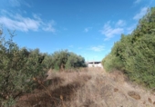 Parcela urbanizable en venta en la España, Mairena del Aljarafe, ref: TR350333 foto