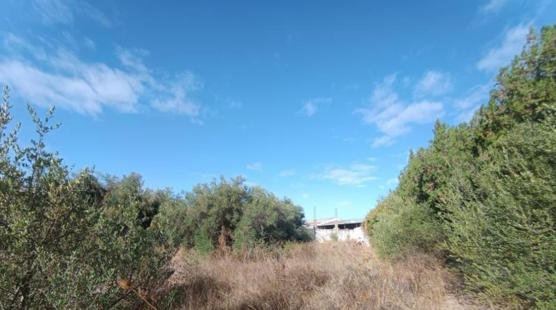 Севилья - Mairena del Aljarafe - 1650m2