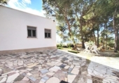 Chalet independiente con terreno en venta en la España, Aspe, ref: TR373942 foto
