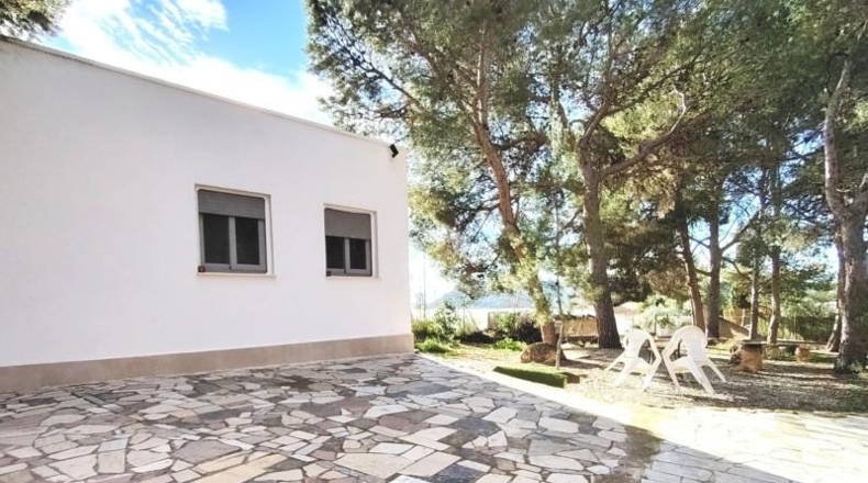 Alicante - Аспе - 3536m2