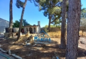 Country house with land for sale on España, Albacete, ref: TR345500 photo