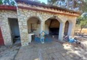 Country house with land for sale on España, Albacete, ref: TR345500 photo