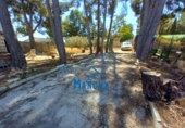 Country house with land for sale on España, Albacete, ref: TR345500 photo
