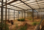Detached villa with land for sale on España, Chiclana de la Frontera, ref: TR368286 photo