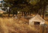 Detached villa with land for sale on España, Chiclana de la Frontera, ref: TR368286 photo