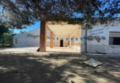 Casa de camp amb terreny en venda a la España, Elx, ref.: TR380535 foto