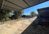 Casa de camp amb terreny en venda a la España, Elx, ref.: TR380535 foto