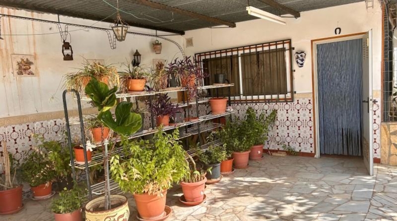 Almería - Albox - 2300m2