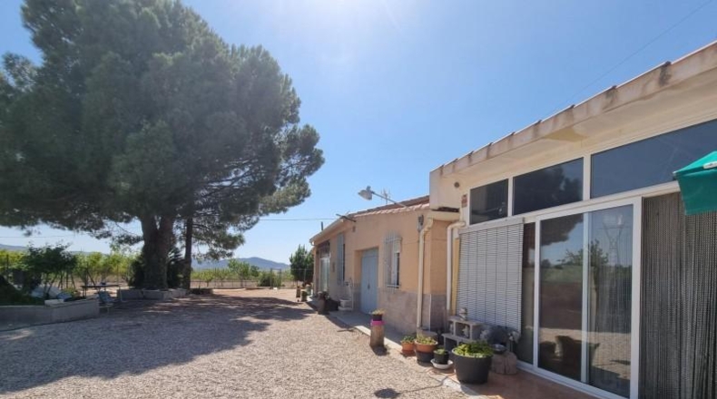 Alicante - Monóvar - 20000m2