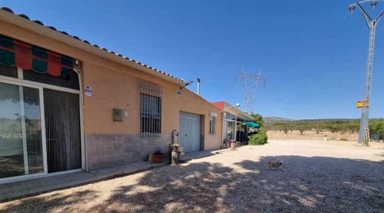 Alicante - Monóvar - 20000m2