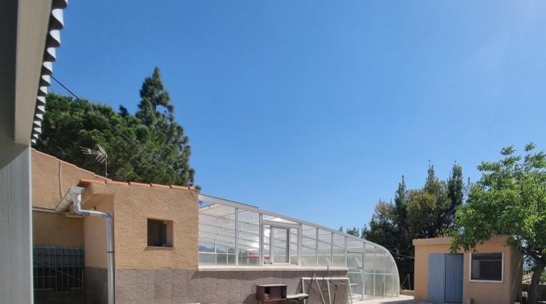 Alicante - Monóvar - 20000m2