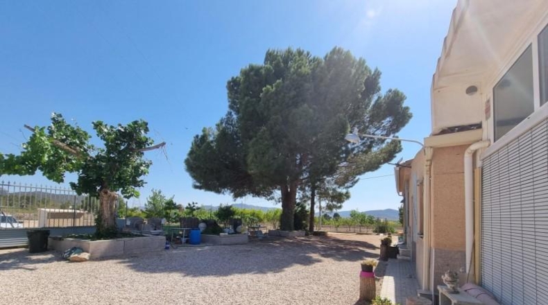 Alicante - Monóvar - 20000m2