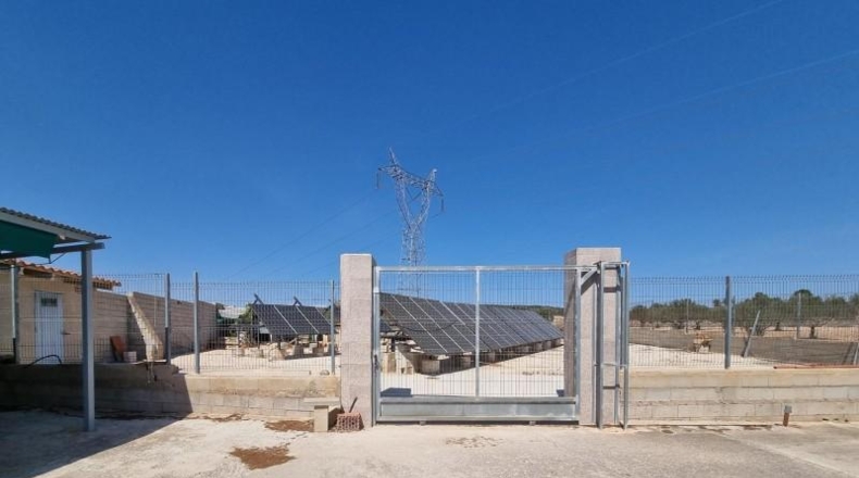 Alicante - Monóvar - 20000m2