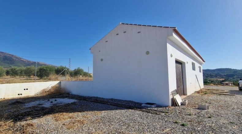 Málaga - Alhaurín el Grande - 10445m2
