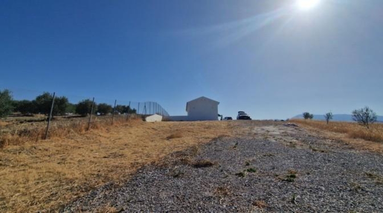 Málaga - Alhaurín el Grande - 10445m2