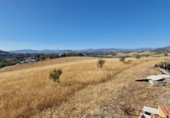 Casa de camp amb terreny en venda a la España, Alhaurín el Grande, ref.: TR164060 foto