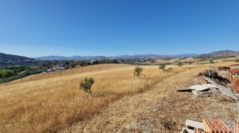 Málaga - Alhaurín el Grande - 10445m2