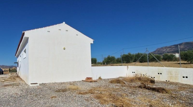 Málaga - Alhaurín el Grande - 10445m2